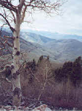 Looking into Idaho from Lemhi Pass (Ridge Road)