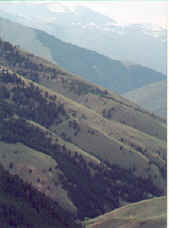 Idaho side of Lemhi Pass 