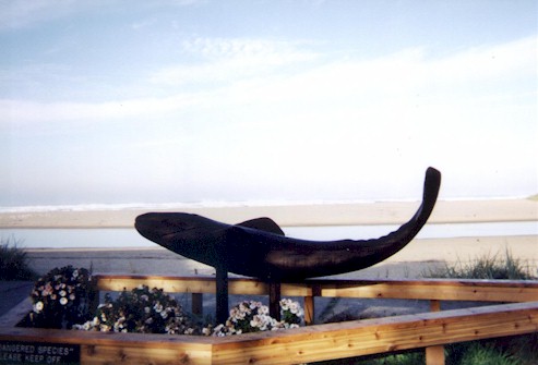 Whale Park in Cannon Beach, Oregon